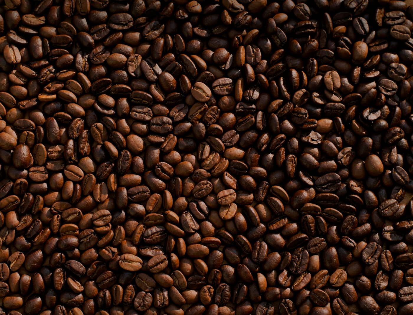 Granos de café de altura recién tostados, textura cercana